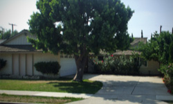 Orange County Before